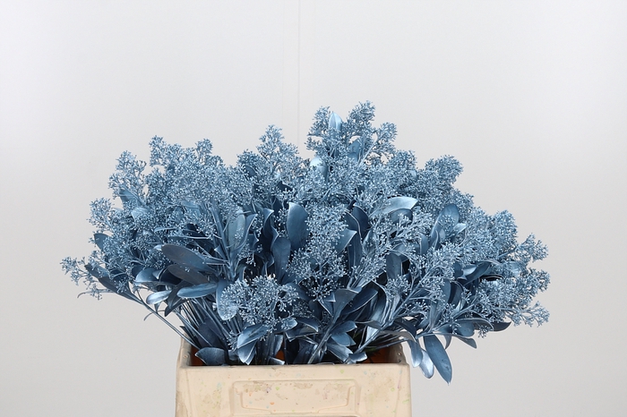 <h4>Skimmia Kl Bh Metal Licht Blauw</h4>