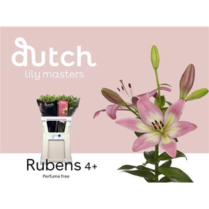 Li La Rubens