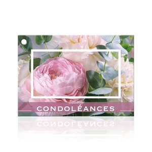 Sincères condoléances (1100902F)