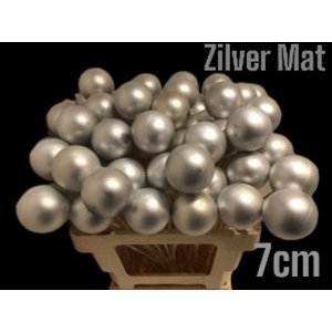 Kerstbal Op Stok Silver