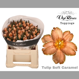 TU EN A SOFT CARAMEL