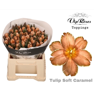 Tu En Vip Soft Caramel