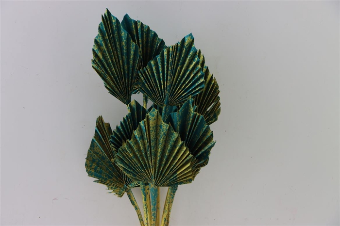 <h4>Dried Artz Palm Spear 10pc Van Gogh Bunch</h4>