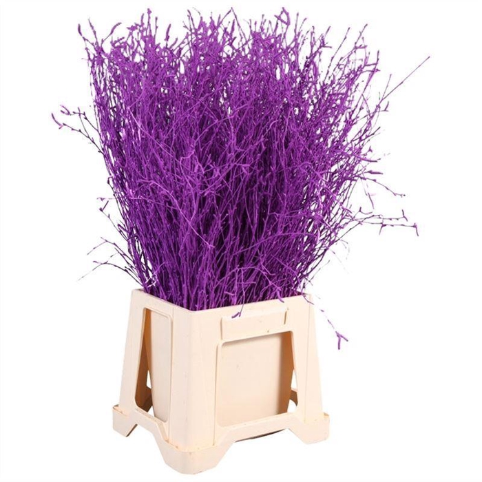 <h4>Berk Geverfd</h4>