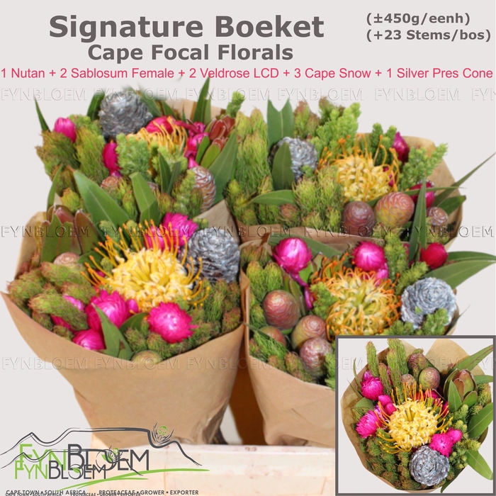 <h4>PROTEA PER BOS</h4>