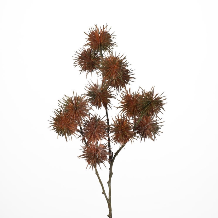 <h4>AF Spiky balls spr x3 L68cm or</h4>