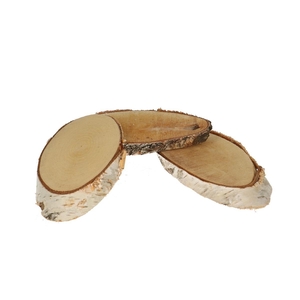 Dried articles Woodslice birch d20*11cm