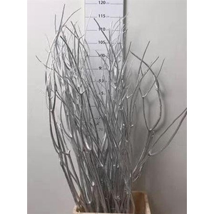 Mitsumata Col Zilver