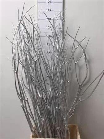 <h4>Mitsumata Col Zilver</h4>