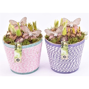 Hout pot paars/roze mix 18cm