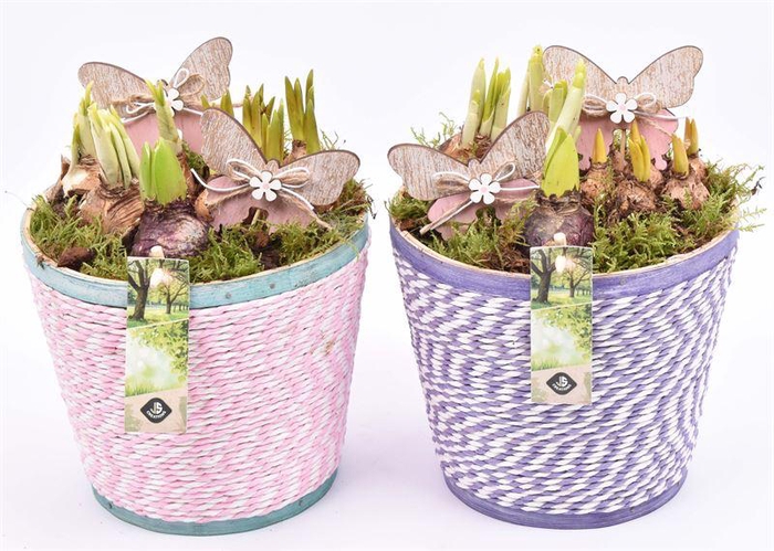 <h4>Hout pot paars/roze mix 18cm</h4>