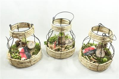 <h4>5428 AMAR FRAME</h4>