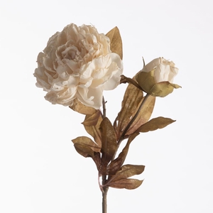 AF Peony Dried x2 71cm Cream