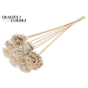Shola Karnish Flower 6cm on stem Wax White