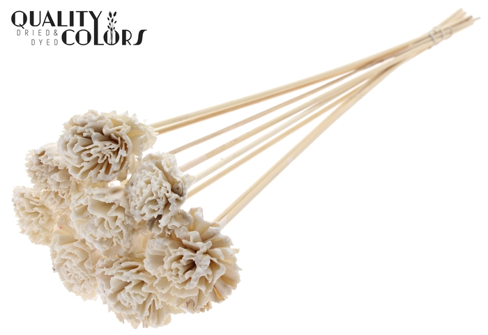 <h4>Shola Karnish Flower 6cm on stem Wax White</h4>