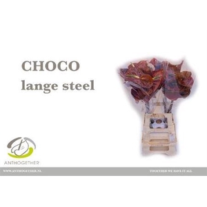 Anth A Choco