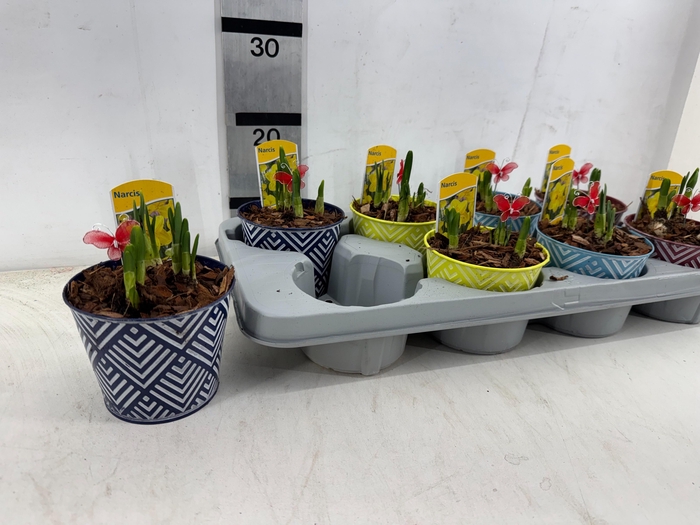 <h4>ARR N TETE A TETE</h4>