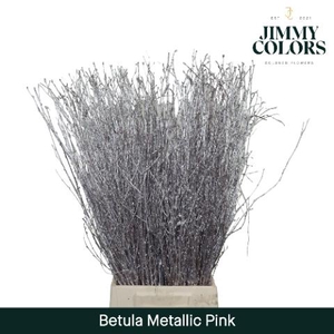 Betula L70 Mtlc. Pink