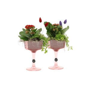 21580: Lovess arrangement