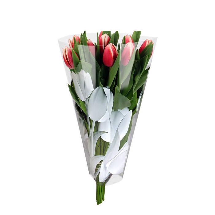 <h4>Hzn 40x30x12cm Opp35 Bright Tulips Wit</h4>