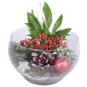 Christmas Arr. Indoor Glass Vase Ø25cm 4PP