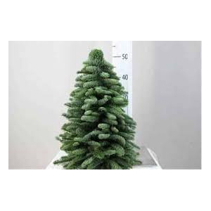 KERSTBOOM 50CM