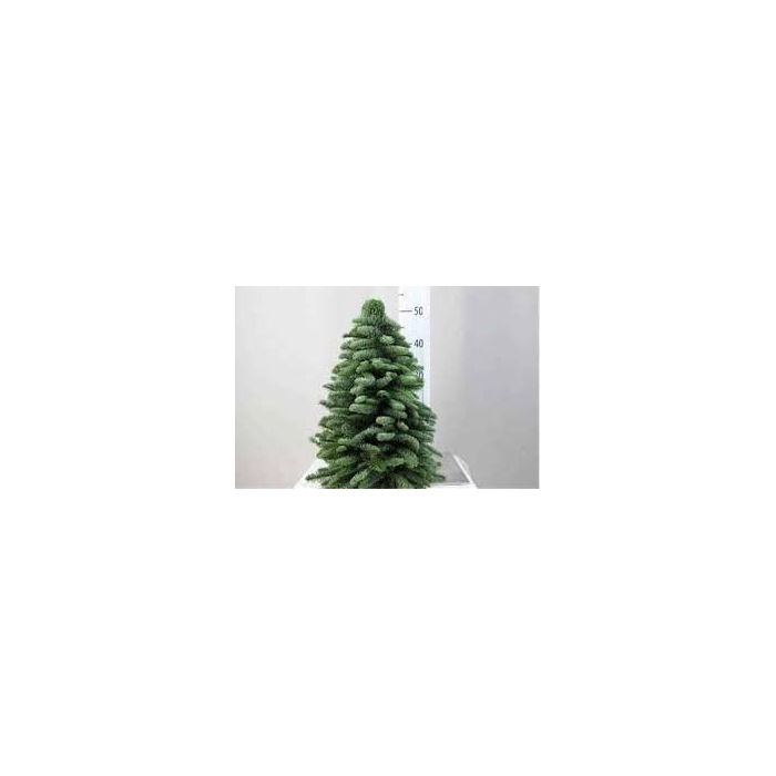 <h4>KERSTBOOM 50CM</h4>