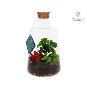 Glas Terrarium Elise met Arrangement 3pp