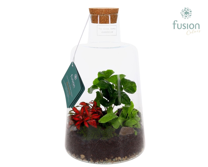 <h4>Glas Terrarium Elise met Arrangement 3pp</h4>