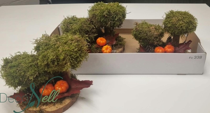 <h4>ARR TUINPLANTEN</h4>