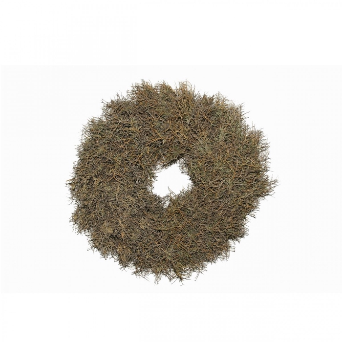 Wreath d45cm Iron Bush