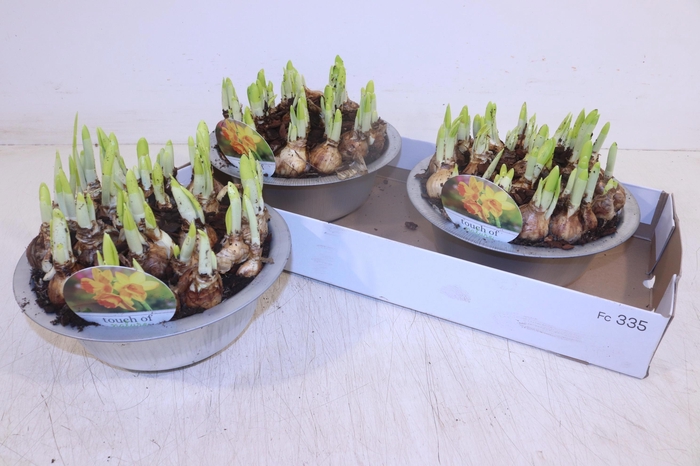 <h4>ARR N TETE A TETE</h4>