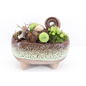 arr4 Amaryllis MB - Luxe ovaal pootjes x4