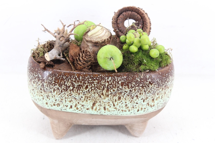 <h4>arr4 Amaryllis MB - Luxe ovaal pootjes x4</h4>