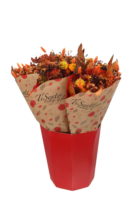 <h4>DROOGBL BEWERKT H%</h4>