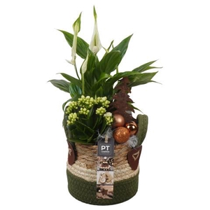 PTCHB9800 Arrangementen Kerst