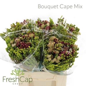 Kaaps groen   ...mix in bos