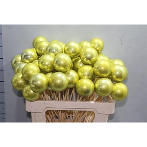 Kerstbal Op Stok Gold