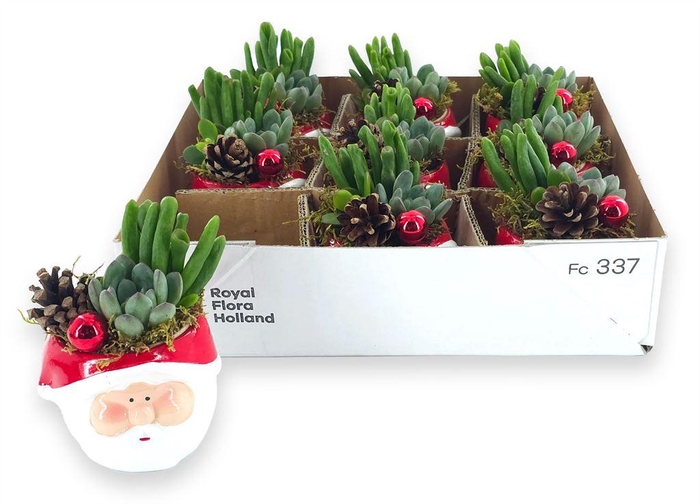 <h4>Arr. Kerst L%</h4>