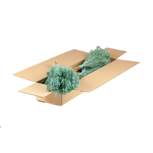 Broom Bloom Bunch Sb Blue Misty