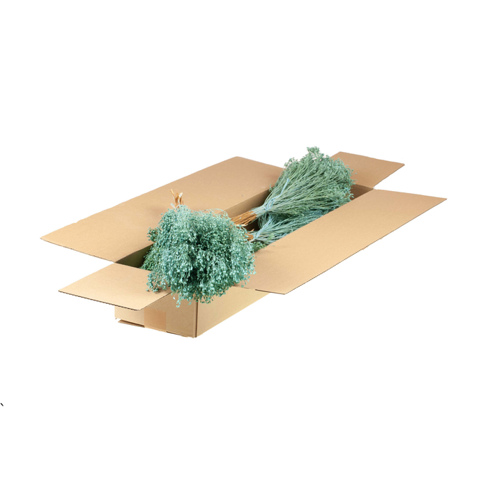 <h4>Broom Bloom Bunch Sb Blue Misty</h4>