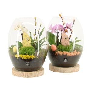70854: Easter arrangement