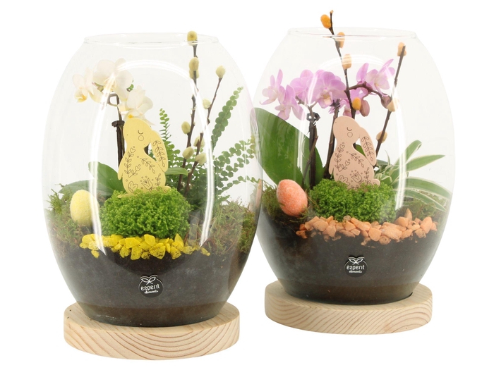 <h4>70854: Easter arrangement</h4>