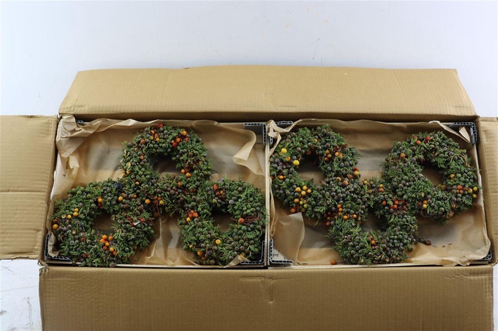 <h4>Wr Sierfruit Juniperus Green 20cm</h4>