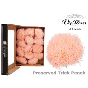 R PRESERVED TRICK PEACH (10-12 Pcs.)