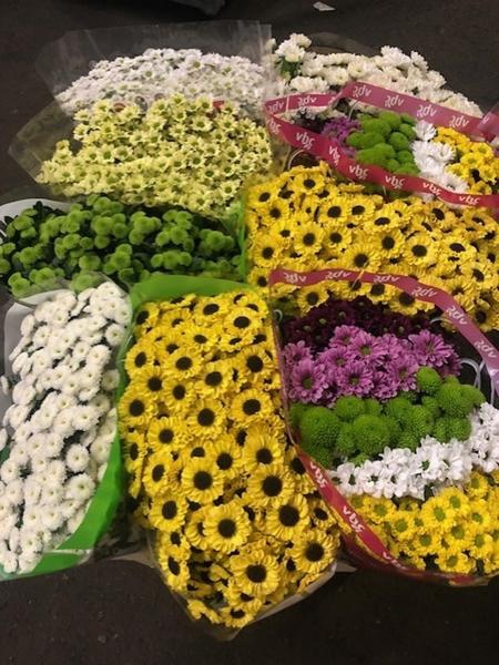 <h4>CHR SAN GEMENGD</h4>