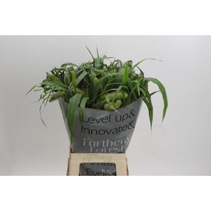 Grasses mix in bucket