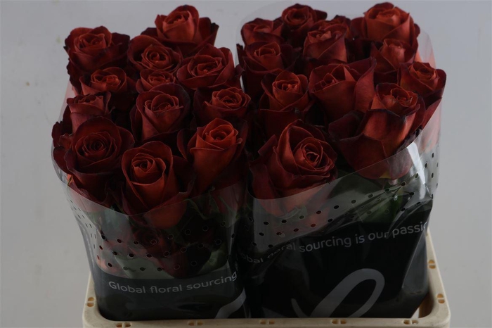 <h4>R Gr Cafe Del Mar</h4>