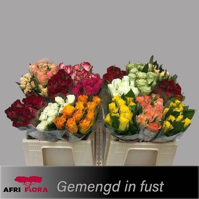 <h4>R KL GEM IN FUST</h4>