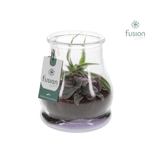 Glas Druppel met Arrangement